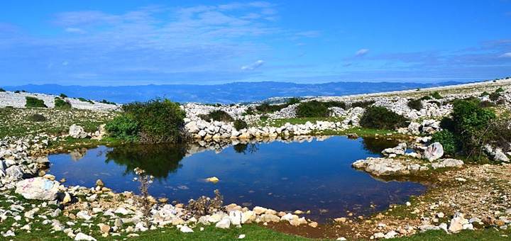 Jazierko na ostrove Krk